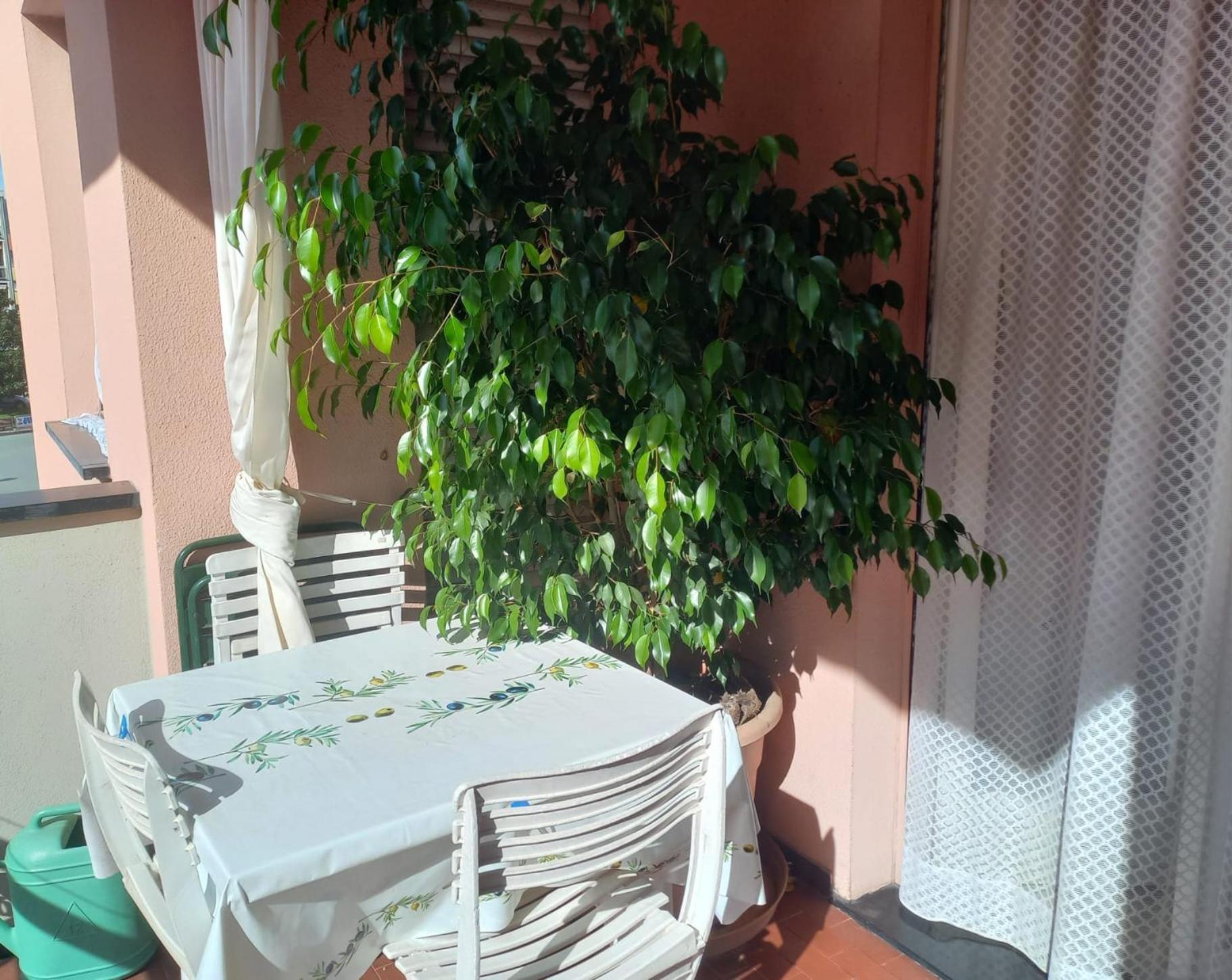 Cinque Terre & Portofino Apartment In سيستري ليفانتي المظهر الخارجي الصورة